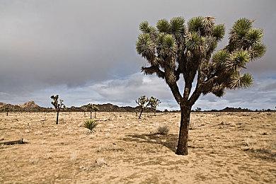 《银河战士Prime 4》试玩实机 把Joy Con手柄当鼠标