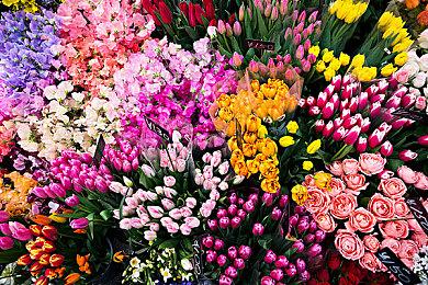 《上古卷轴5》科幻城市Mod太惊人 与2077合体？