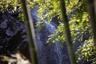 疑似发现《城市：天际线2》卡顿缘由 NPC建模精致到牙齿